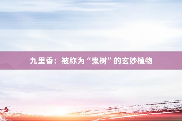 九里香:被称为“鬼树”的玄妙植物