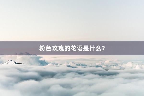 粉色玫瑰的花语是什么?