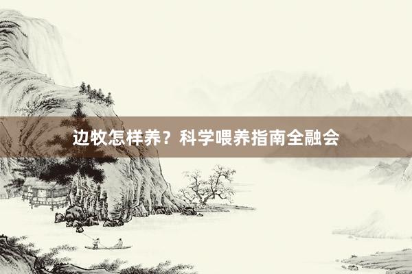 边牧怎样养？科学喂养指南全融会