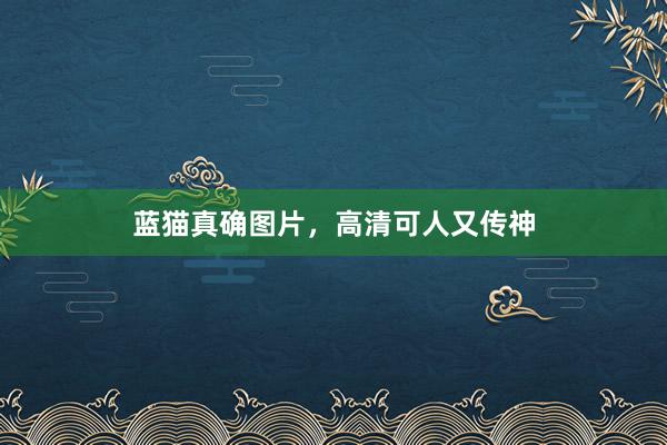 蓝猫真确图片，高清可人又传神